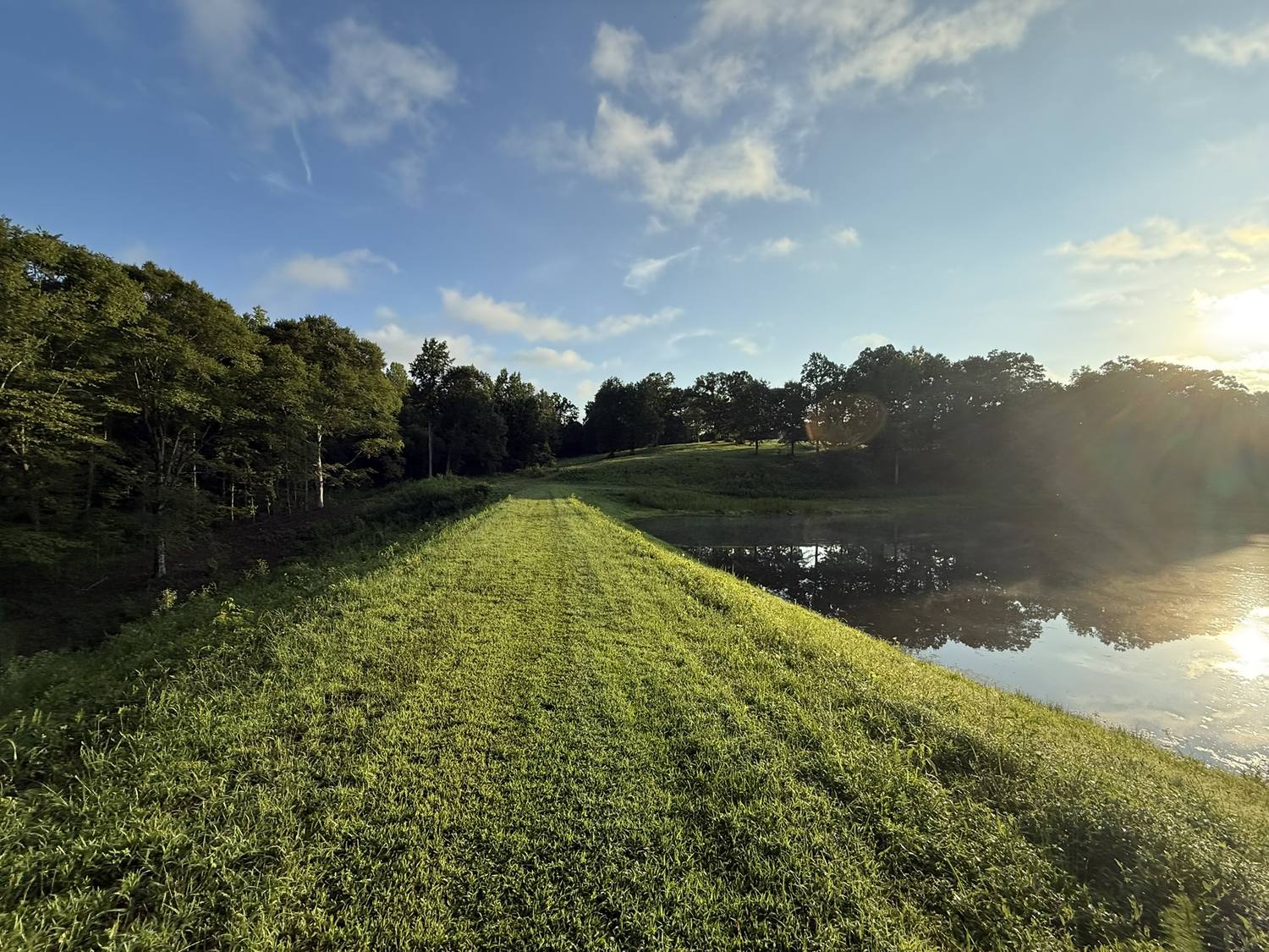 A mowed grass path along the top of the pond dam at sunrise, with the pond on the right and woods on the left.